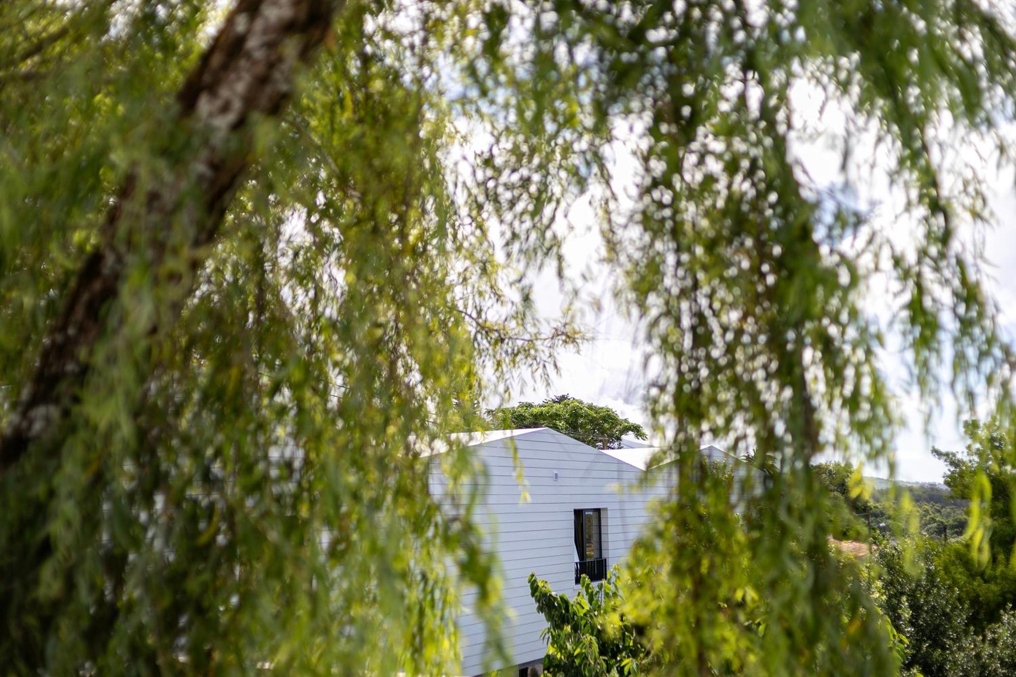 Solar Branco Eco Estate Villa Понта Делгада Екстериор снимка