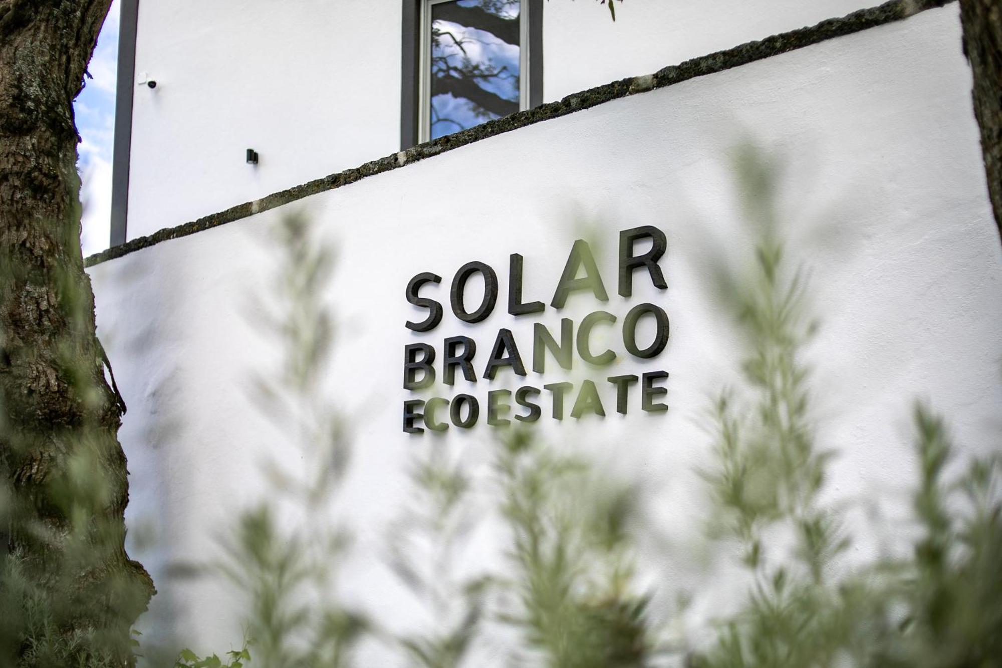 Solar Branco Eco Estate Villa Понта Делгада Екстериор снимка